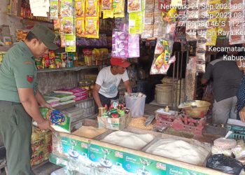 Terjun Langsung Ke Lapangan, Babinsa Koramil Udanawu Cek Harga Sembako Di Wilayah Binaannya