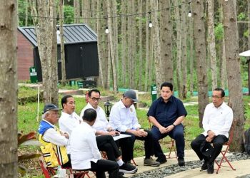 *Presiden Jokowi Lanjutkan Kunjungan Hari Ketiga di IKN*