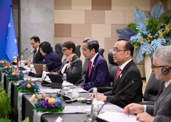 Presiden Jokowi: Indonesia-Mikronesia Punya Peran dan Kontribusi Nyata Hadapi Tantangan Bersama
