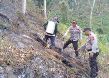Sinergitas Polisi bersama TNI dan BPBD Padamkan Kebakaran di Perkebunan Gunung Terong Banyuwangi