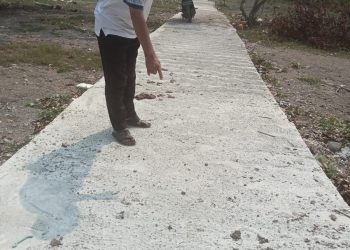 Waduh,, DIduga pembangun Rabat Beton Anggaran ADD dipekon telaga Ning Menggunakan Matrial Pasir Laut dan Sirtu Laut,