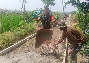 Tingkatkan Budaya Gotong Royong Di Wilayah Binaan, Babinsa Koramil Wlingi Dan Warga Gelar Kerja Bakti Bersama