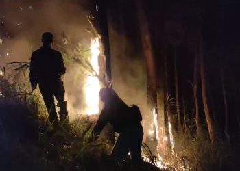 Polres Malang dan Tim Satgas Karhutla Berhasil Padamkan Kebakaran di Jabung