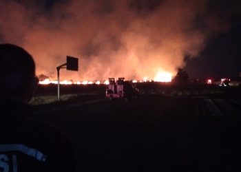 Gercep Polisi dan Petugas Damkar Berhasil Padamkan Kebakaran Lahan Alang-alang di Bandara Banyuwangi