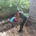 Tingkatkan Budaya Gotong Royong, Babinsa Pos Selopuro Bantu Warga Binaannya Buat Pagar Rumah