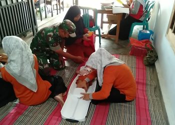 Peduli Stunting, Babinsa Pos Selopuro Dampingi Kegiatan Posyandu Balita Di Wilayah Binaannya