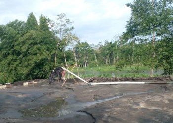 TAMBANG PASIR SEDOTAN ILEGAL SUNGAI BENGAWAN DESA KAULON, MRONJO , KABUPATEN BLITAR MENJAMUR, DI DUGA LUPUT DARI. PANTAUAN APH
