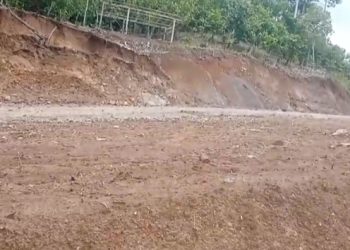 Diduga Lahan Pengganti  Pengerjaan Jalan di hutan Kawasan , PT  Arkora Belum Jelas Keberadaanya