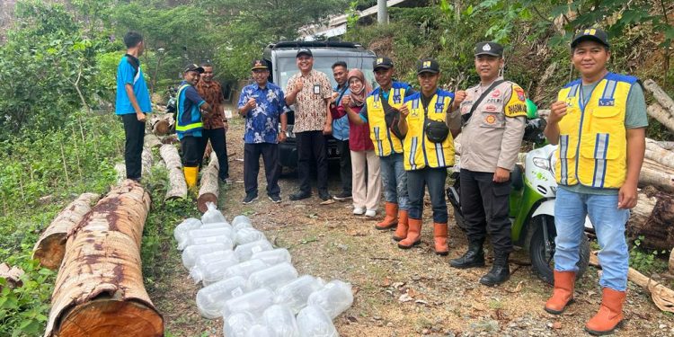 Tebar Benih Ikan, Cara Bhabinkamtibmas Polres Pacitan Jaga Habibat Air