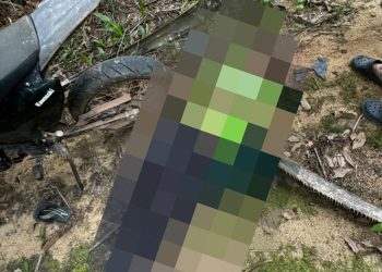 Sosok Mayat Laki Laki di Temukan Lokasi Perkebunan Sawit, Buat Gegerkan Warga Kecamatan Manis Mata