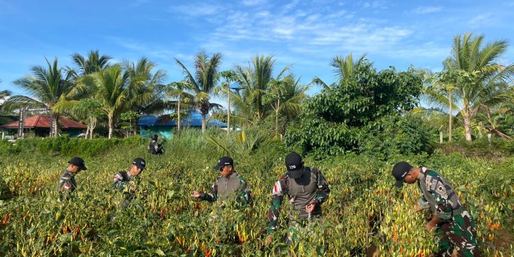Manfaatkan Lahan Tidur Untuk Ketahanan Pangan di Wilayah Perbatasan RI-PNG