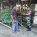 Dukung Ketahanan Pangan, Babinsa Koramil 426-01 Simpang Pematang Bantu Warga Peternak Kambing
