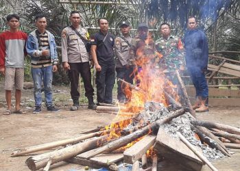 Tim Gabungan Polsek Gandeng Koramil Sepauk Tertiban Perjudian Sabung Yang Berada di Desa Sukau Bersatu