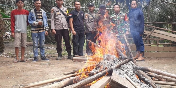 Tim Gabungan Polsek Gandeng Koramil Sepauk Tertiban Perjudian Sabung Yang Berada di Desa Sukau Bersatu