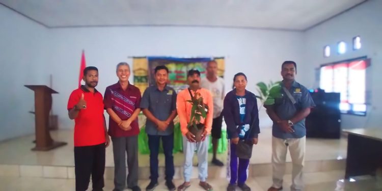 Sor Silai Tanimbar kembangkan agroforestry di Arui Bab.