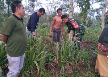 Bayi Perempuan di Blitar Dibuang di Pekarangan, Polsek Ponggok Polres Blitar Kota Lakukan Penyelidikan