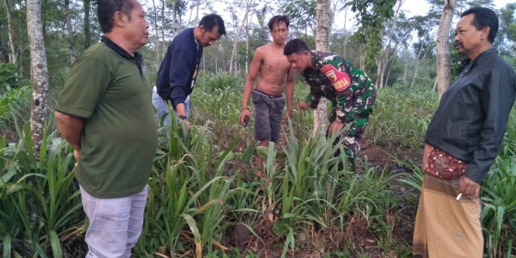Bayi Perempuan di Blitar Dibuang di Pekarangan, Polsek Ponggok Polres Blitar Kota Lakukan Penyelidikan