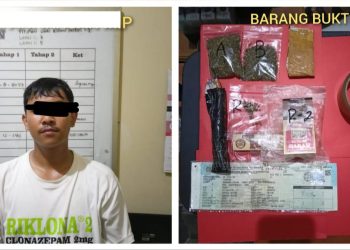 Polres Madiun Kota Berhasil Amankan Tersangka Pengedar Narkotika Jenis Ganja
