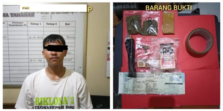 Polres Madiun Kota Berhasil Amankan Tersangka Pengedar Narkotika Jenis Ganja