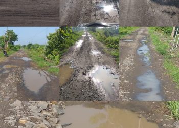 TIDAK MENDAPAT PERHATIAN DARI PEMERINTAH DESA JEGREG JALAN PENGHUBUNG DUSUN KEDUNG BEDOG MEMBAHAYAKAN PENGGUNA JALAN