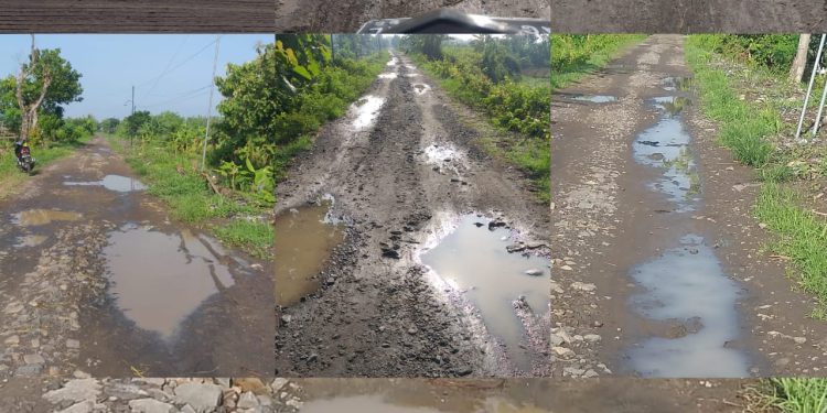 TIDAK MENDAPAT PERHATIAN DARI PEMERINTAH DESA JEGREG JALAN PENGHUBUNG DUSUN KEDUNG BEDOG MEMBAHAYAKAN PENGGUNA JALAN