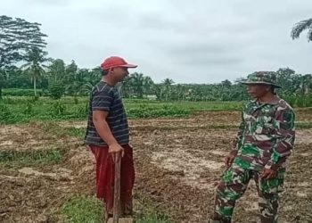 Babinsa Koramil 426-04 Banjar Agung Berperan Aktif Membantu Petani Pengolahan Lahan Dan Penanaman Padi