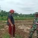 Babinsa Koramil 426-04 Banjar Agung Berperan Aktif Membantu Petani Pengolahan Lahan Dan Penanaman Padi