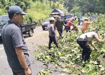 Respon Cepat Personel Polsek Selemadeg Evakuasi Pohon Tumbang yang Menghalangi Jalan