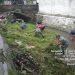 Cegah Terjadinya Banjir, Anggota Koramil 0808/20 Sananwetan Gelar Pembersihan Aliran Sungai