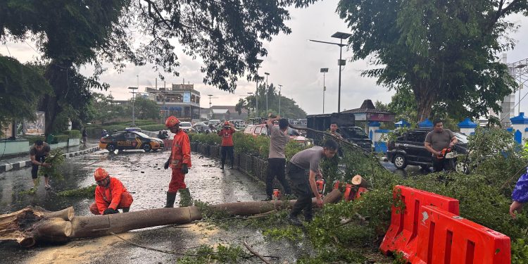 Gercep Polisi Kota Kediri Bersama BPBD Evakuasi Pohon Tumbang di 4 Lokasi