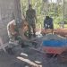 Bantu Atasi Kesulitan Warga Binaannya, Babinsa Koramil Selorejo Terjun Langsung Ke Lapangan