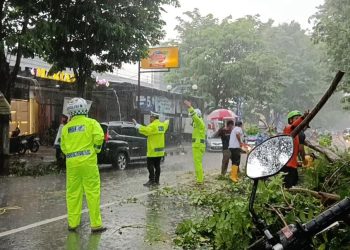 Gerak Cepat Anggota Satlantas Polres Kediri Evakuasi Korban Pohon Tumbang di Pare.
