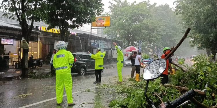 Gerak Cepat Anggota Satlantas Polres Kediri Evakuasi Korban Pohon Tumbang di Pare.