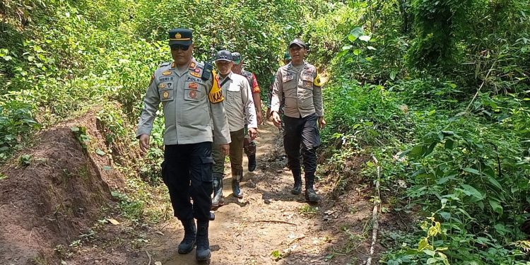 Distribusi Logistik Pemilu di Daerah Terpencil Pakai Kuda, Polres Jember Lakukan Pengawalan Jalan Kaki