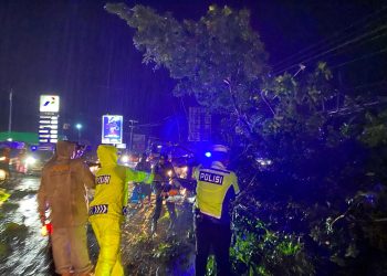 Respon Cepat Polres Tulang Bawang Evakuasi Pohon Besar Tumbang di Jalinsum, AKBP James: Wujudkan Beyond Trust