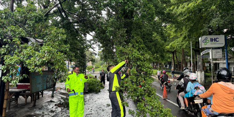 Aksi Cepat Tanggap Bencana Sat Lantas Polres Kediri Dalam Mengatasi Pohon Tumbang