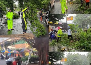 Sat Lantas Polres Kediri Himbau Pengguna Jalan Waspadai Pohon Tumbang Saat Hujan