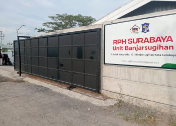 RPH Banjar Sugihan Meski Sudah Diresmikan Walikota Surabaya, Fasilitas Butuh perbaikan