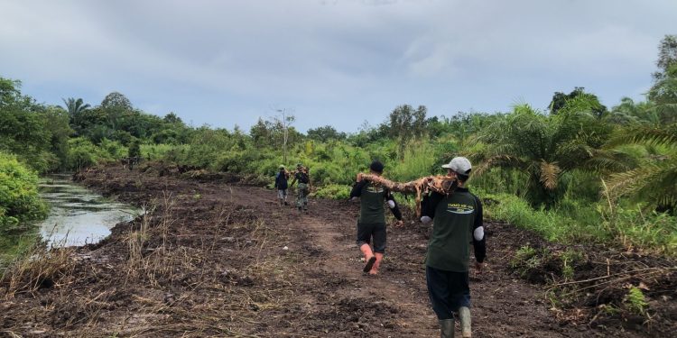 Kompak dan Gotong Royong, Satgas TMMD Kodim 0426/Tulang Bawang Bangun Talud Jembatan di Desa Sungai Badak