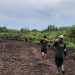 Kompak dan Gotong Royong, Satgas TMMD Kodim 0426/Tulang Bawang Bangun Talud Jembatan di Desa Sungai Badak