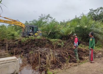 Normalisasi Sungai di Sekitaran Jembatan, Excavator Akselerasi Pembangunan Infrastruktur