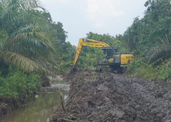 Satgas TMMD Kodim 0426/Tulang Bawang Mengerahkan Alat Berat, Percepat Pembukaan Jalan di Desa Sungai Badak