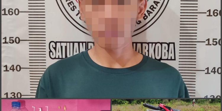 Seorang Pemuda Dibekuk Satresnarkoba Polres Tulang Bawang Barat Diduga Edarkan Sabu.