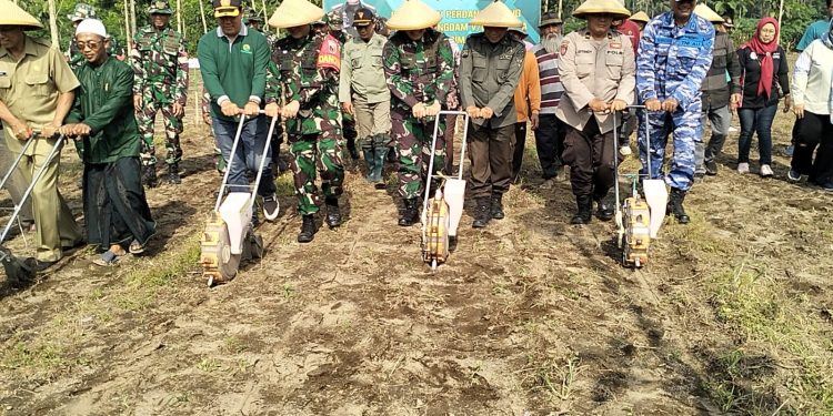 Penanaman Perdana Jagung Bersama Pangdam V/Brawijaya di Wilayah Kodim 0808/Blitar