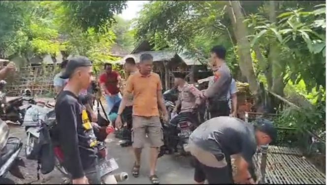 Polres Situbondo Polda Jatim, Satsamapta Mengacak Acak Arena Sabung Ayam Di Panji Situbondo.