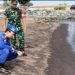 Wargat Pesisir Pantai Jangkar Asembagus Situbondo dihebohkan dengan Ribuan ekor ikan pelagis, ditemukan mati mendadak 