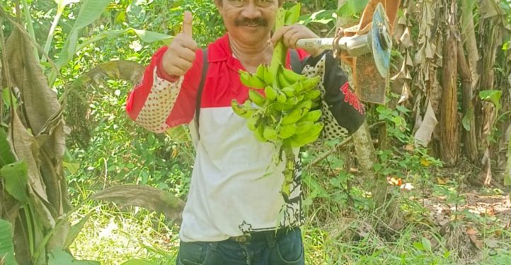 AKP Purnawirawan Subagia : Berkebun Adalah Pilihan