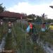 Sukseskan Swasembada Pangan, Sertu Tri Rosadi Bantu Panen Cabe Warganya