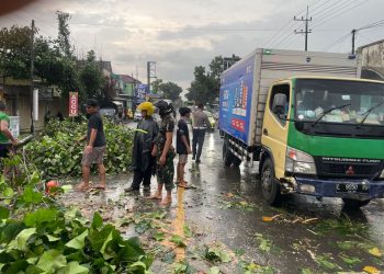 Pohon Tumbang Di Kec. Ngadiluwih Kediri Akibat Hujan Lebat Dan Angin Kencang Anggota Unit Turjagwali Lakukan Pengaturan Lalulintas