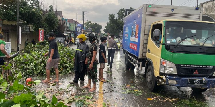 Pohon Tumbang Di Kec. Ngadiluwih Kediri Akibat Hujan Lebat Dan Angin Kencang Anggota Unit Turjagwali Lakukan Pengaturan Lalulintas